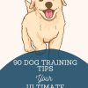 90DogTrainingTips