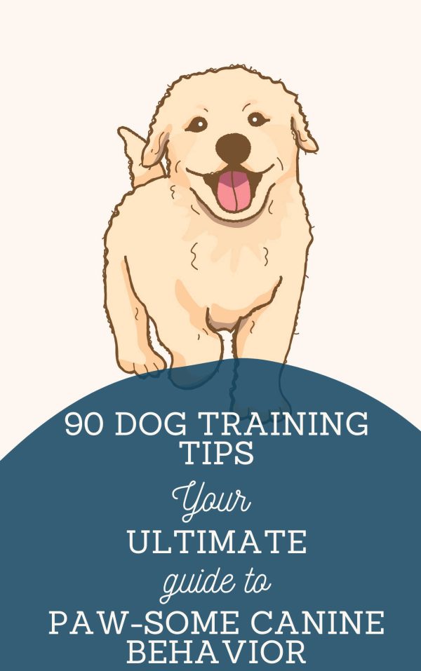 90DogTrainingTips