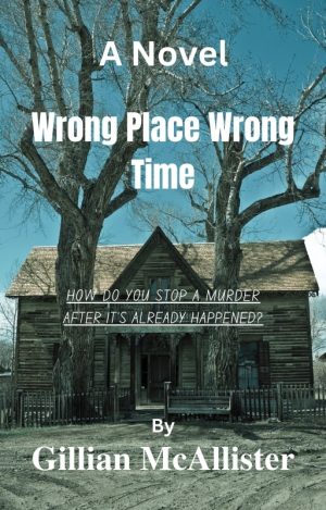 wrong place wrong time a novel